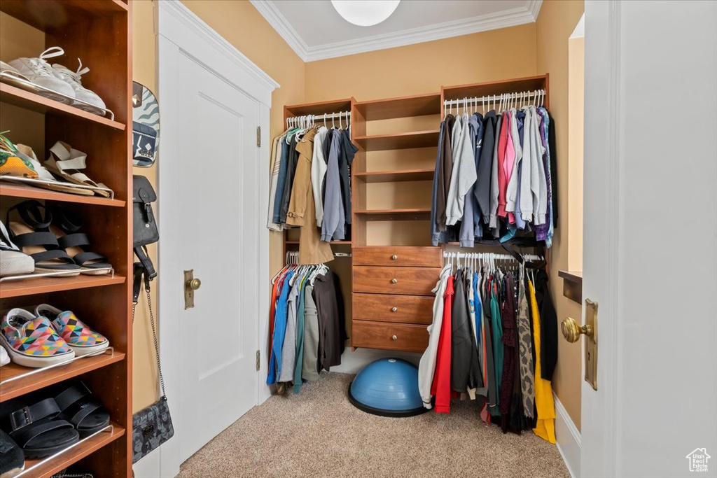 Spacious closet with light carpet