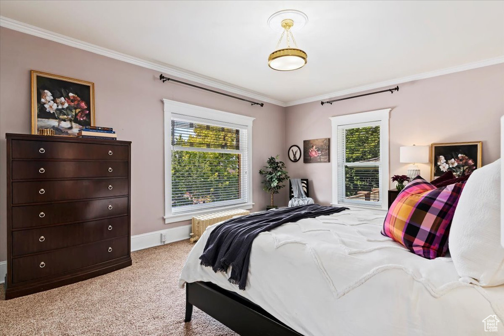 Carpeted bedroom with ornamental molding