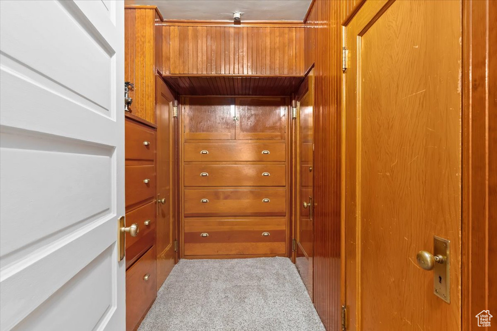 Room details featuring carpet flooring and wooden walls