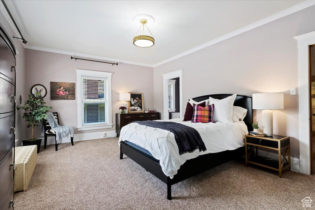 Bedroom with crown molding and carpet flooring