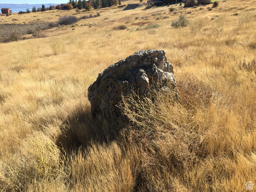 View of local wilderness featuring a rural view
