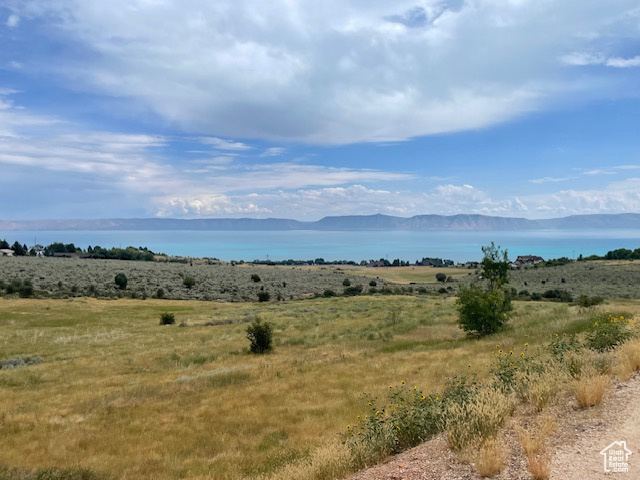 View of nature
