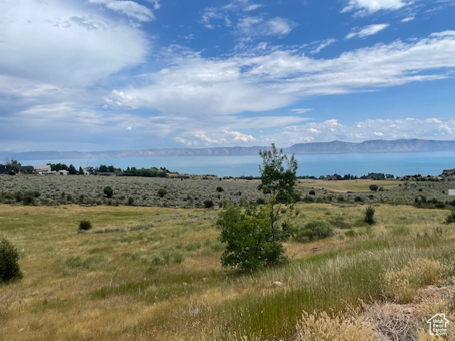View of local wilderness with a water view