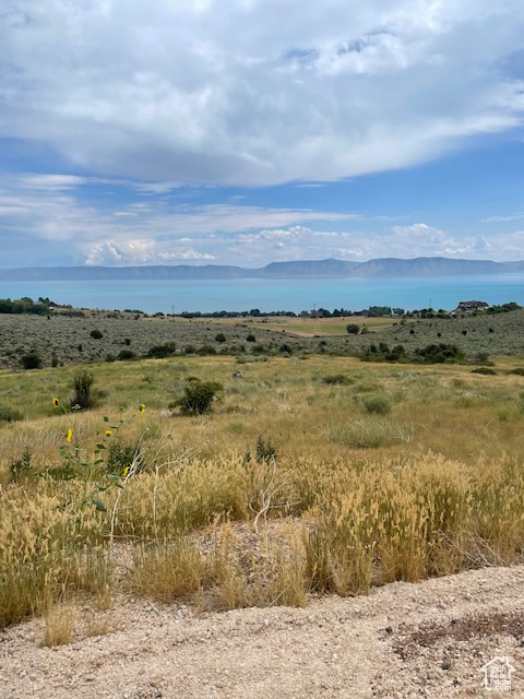 View of nature