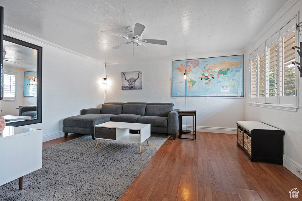 Living room with ornamental molding, ceiling fan, and hardwood / wood-style floors