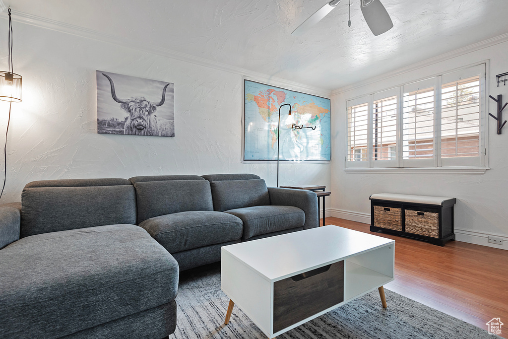 Living room featuring ornamental molding, hardwood / wood-style flooring, and ceiling fan