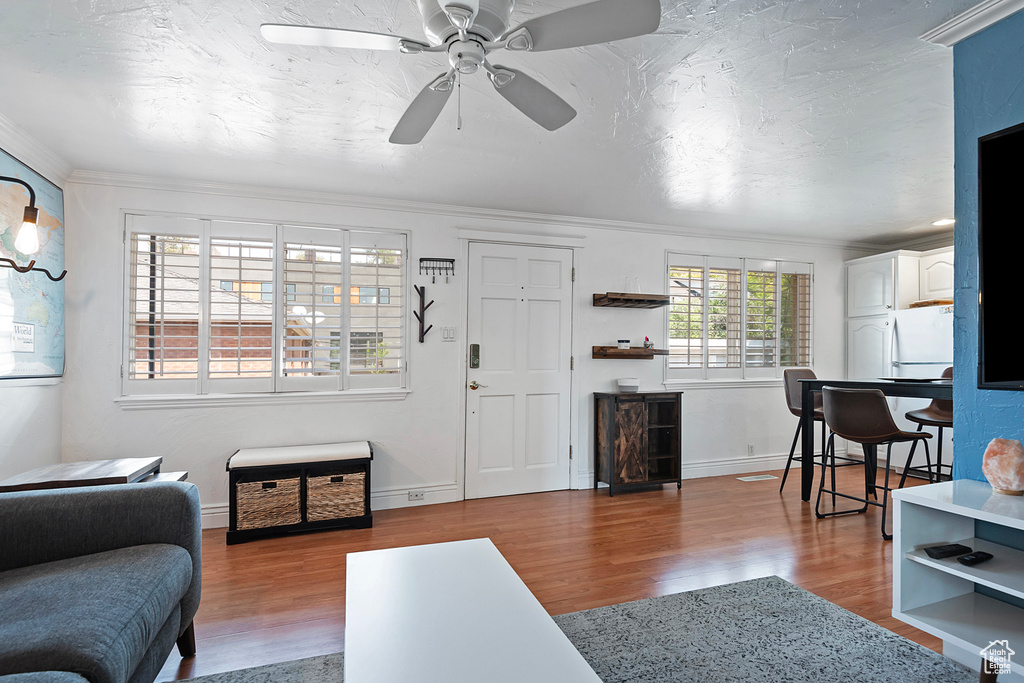 Living room featuring crown molding, ceiling fan, and hardwood / wood-style floors