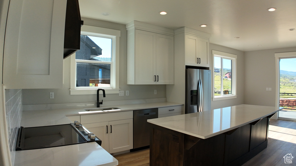 Kitchen featuring sink, wood-type flooring, plenty of natural light, and stainless steel appliances