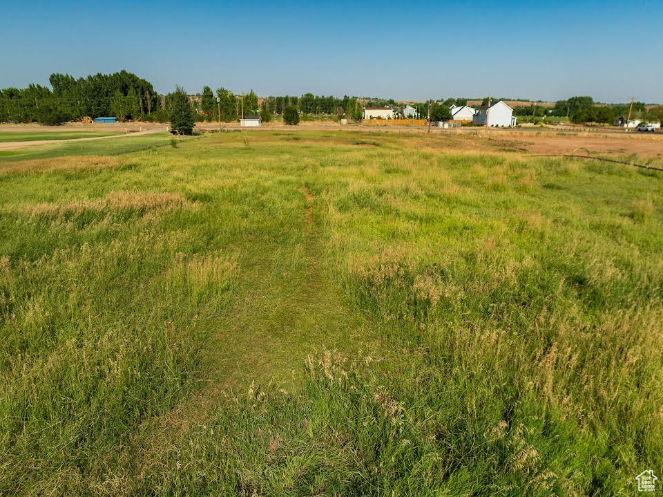 View of local wilderness