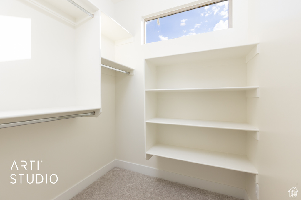 Walk in closet featuring carpet floors