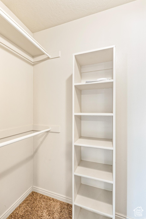 Spacious closet with carpet floors