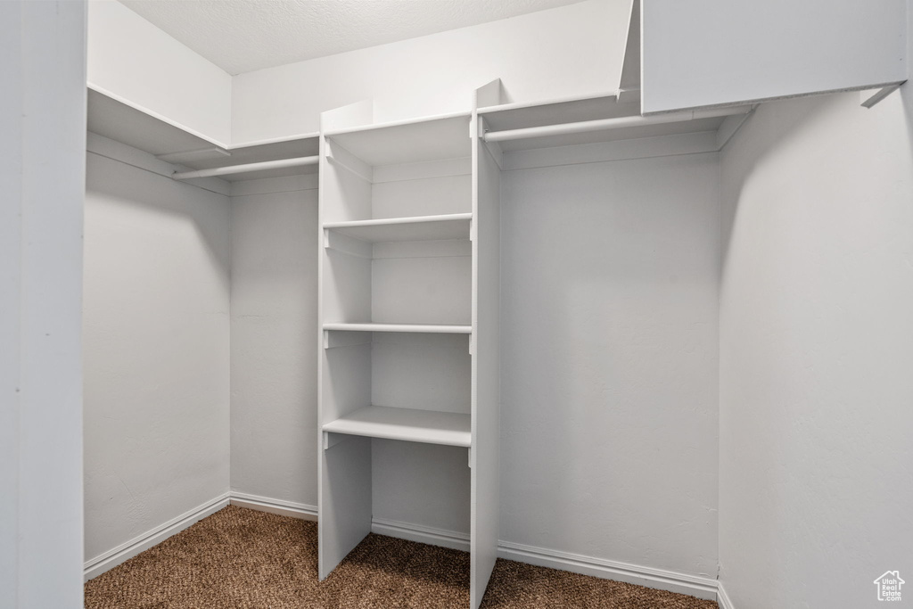 Walk in closet featuring carpet floors