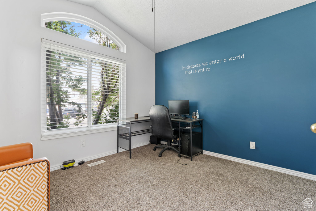 Office space featuring carpet and lofted ceiling