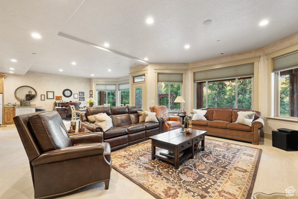 Living room featuring light colored carpet