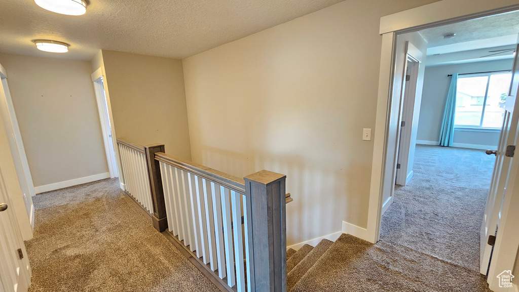 Hall featuring carpet floors and a textured ceiling