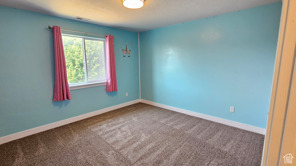 Carpeted spare room with a textured ceiling