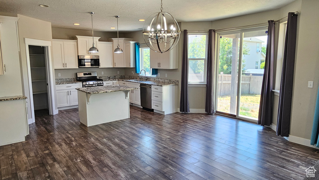 Kitchen with dark hardwood / wood-style floors, hanging light fixtures, appliances with stainless steel finishes, and a kitchen island