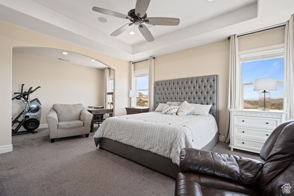 Bedroom featuring multiple windows, ceiling fan, a raised ceiling, and carpet flooring