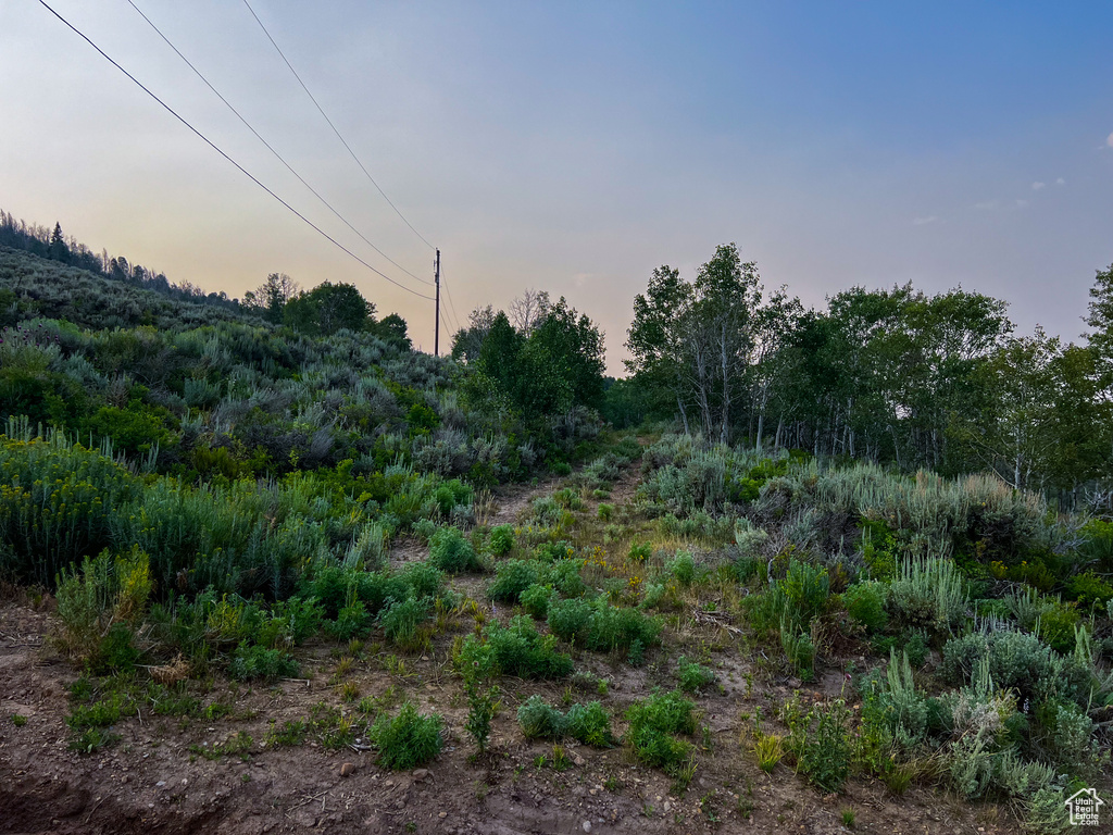 View of nature at dusk