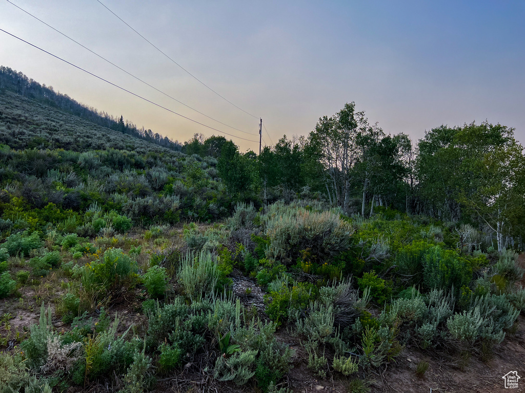 Nature at dusk featuring a mountain view