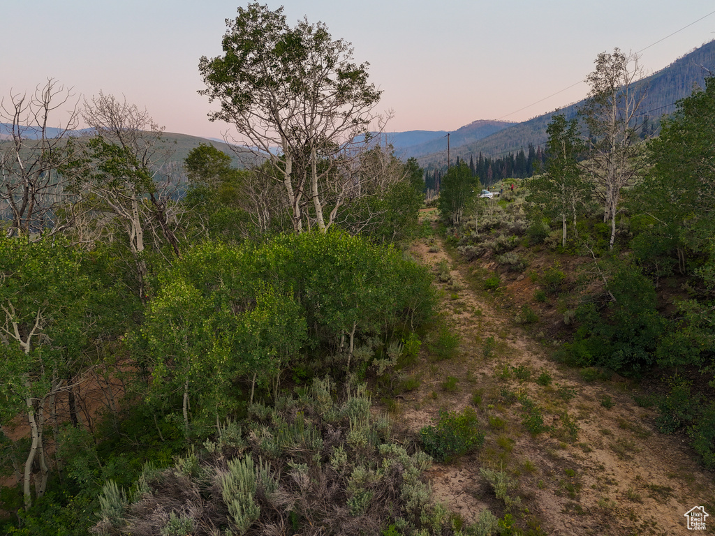 Property view of mountains