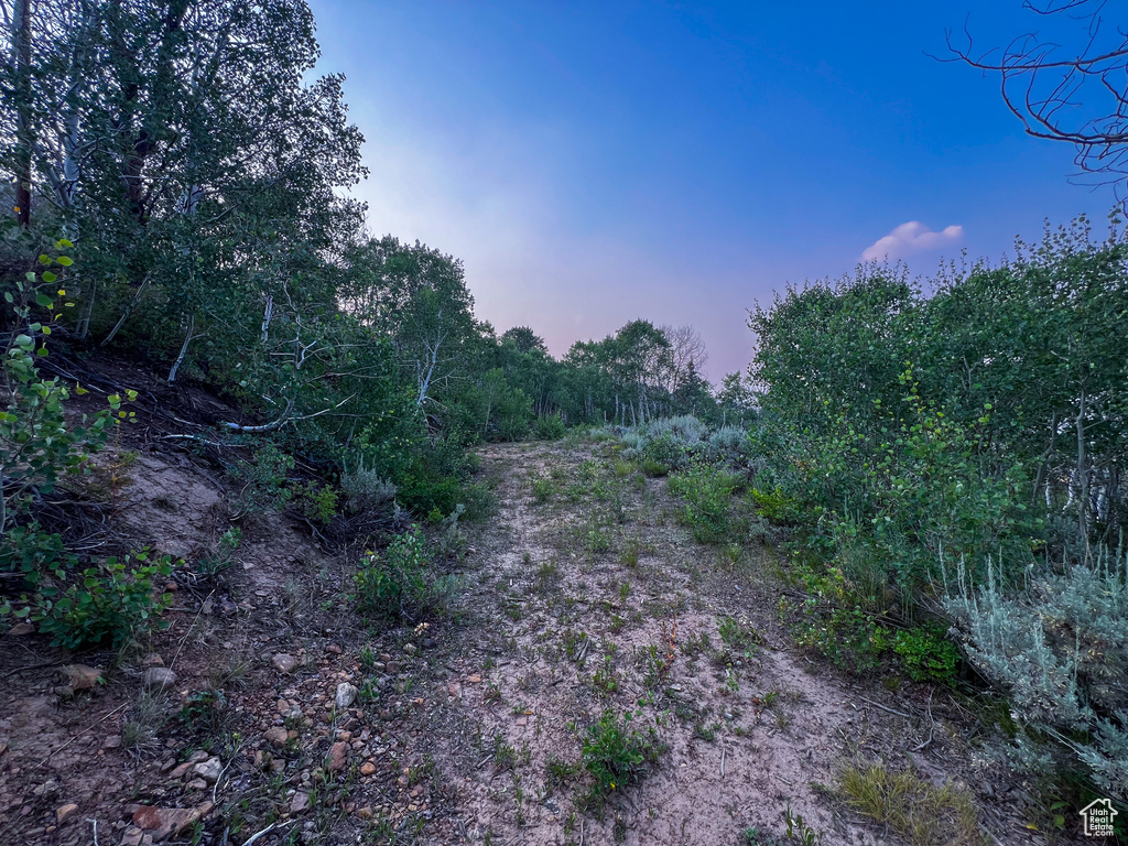 View of landscape