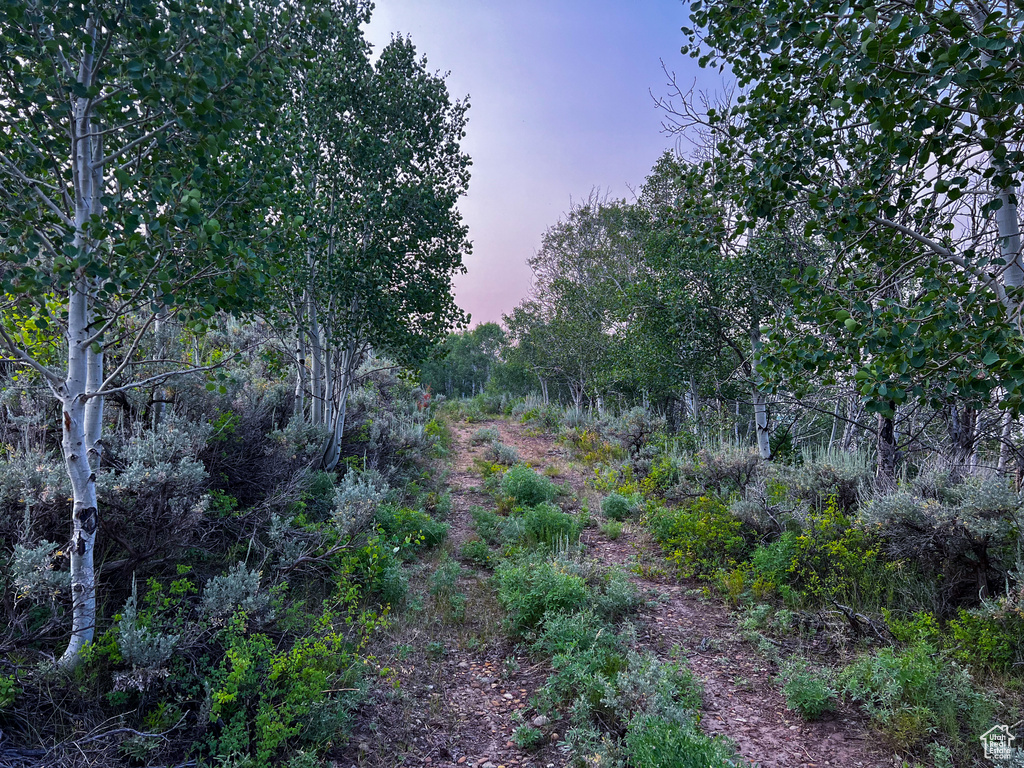 View of nature at dusk