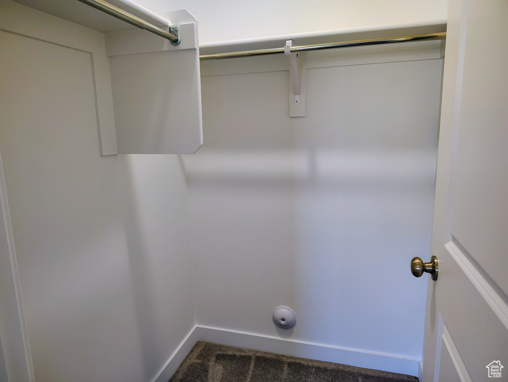 Clothes washing area featuring dark colored carpet