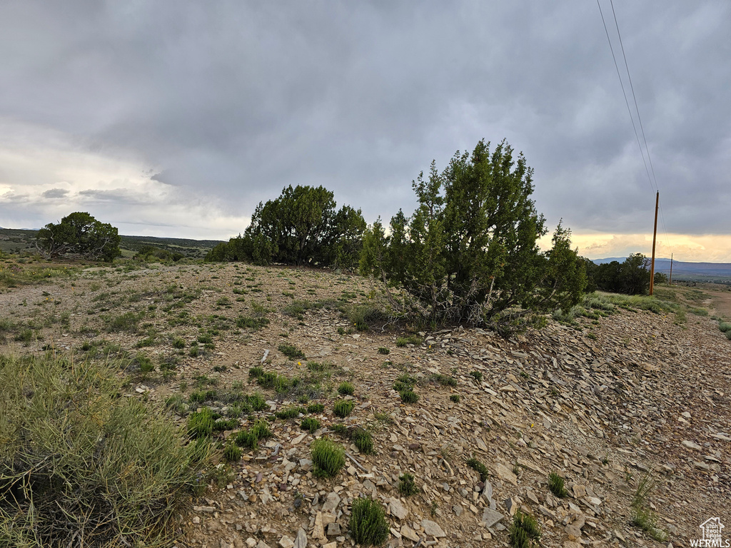 View of local wilderness featuring a rural view