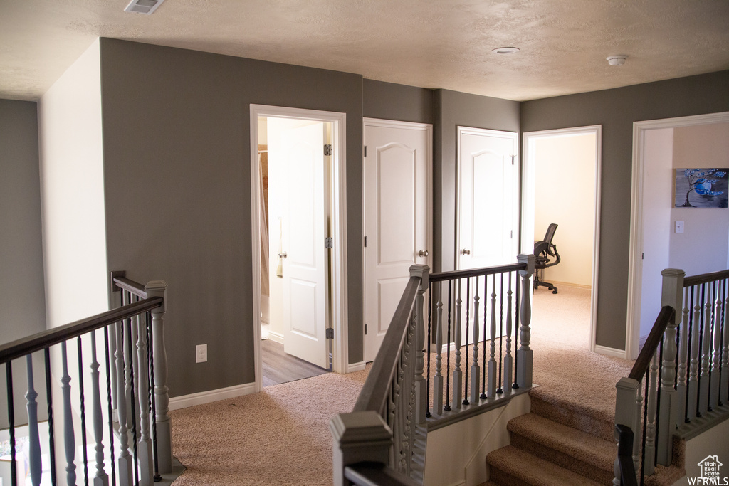 Interior space featuring carpet