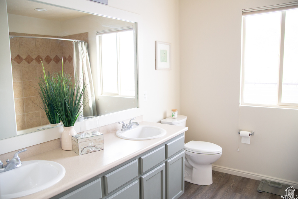 Bathroom featuring toilet, a healthy amount of sunlight, hardwood / wood-style floors, and dual bowl vanity