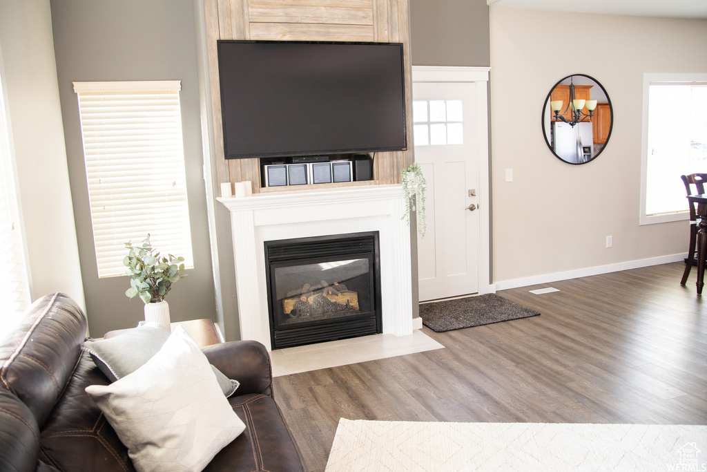 Living room featuring wood-type flooring