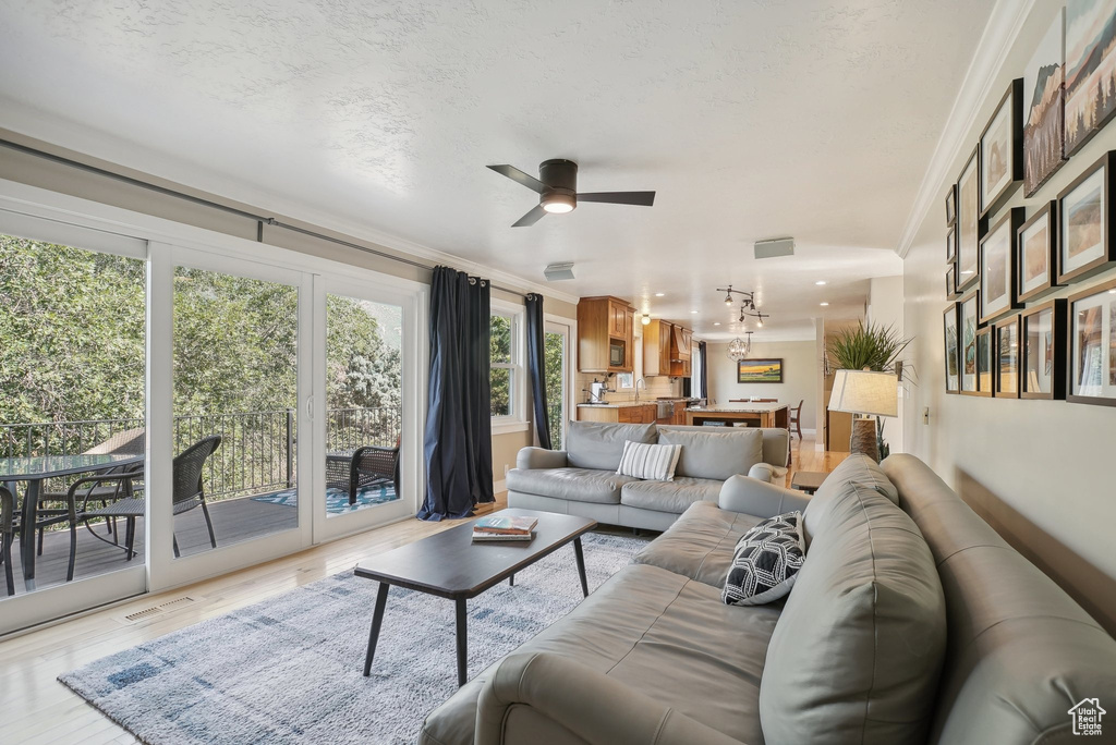 Living room featuring ornamental molding, light wood-type flooring, and ceiling fan