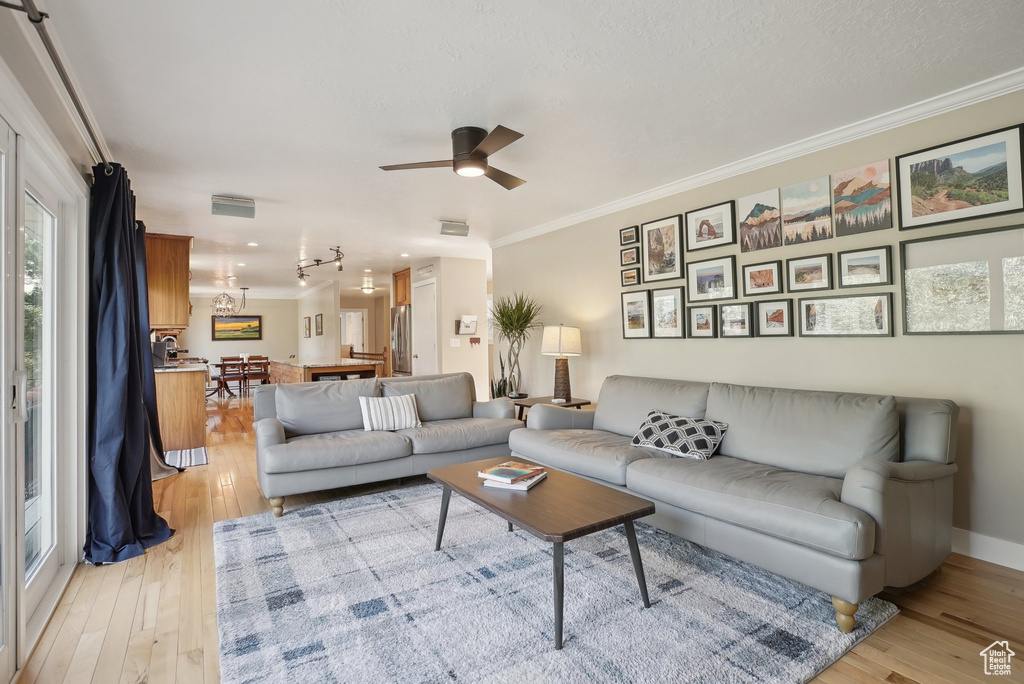 Living room featuring crown molding, ceiling fan, and light hardwood / wood-style floors