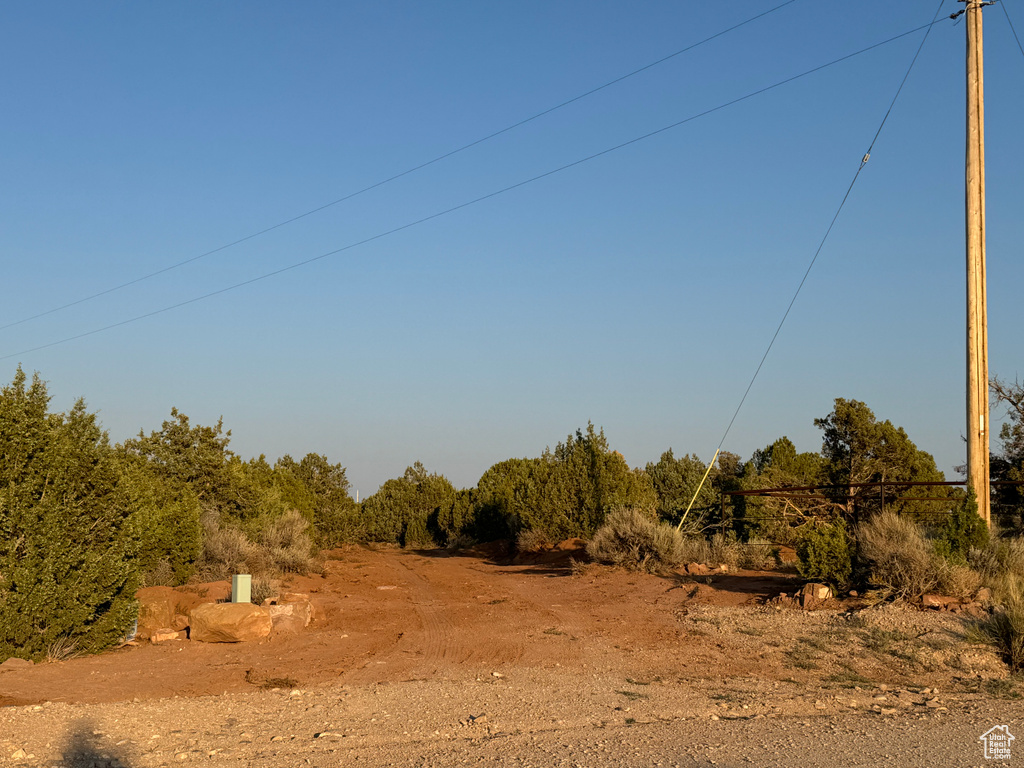 View of local wilderness
