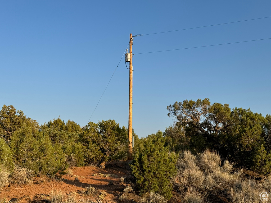 View of local wilderness
