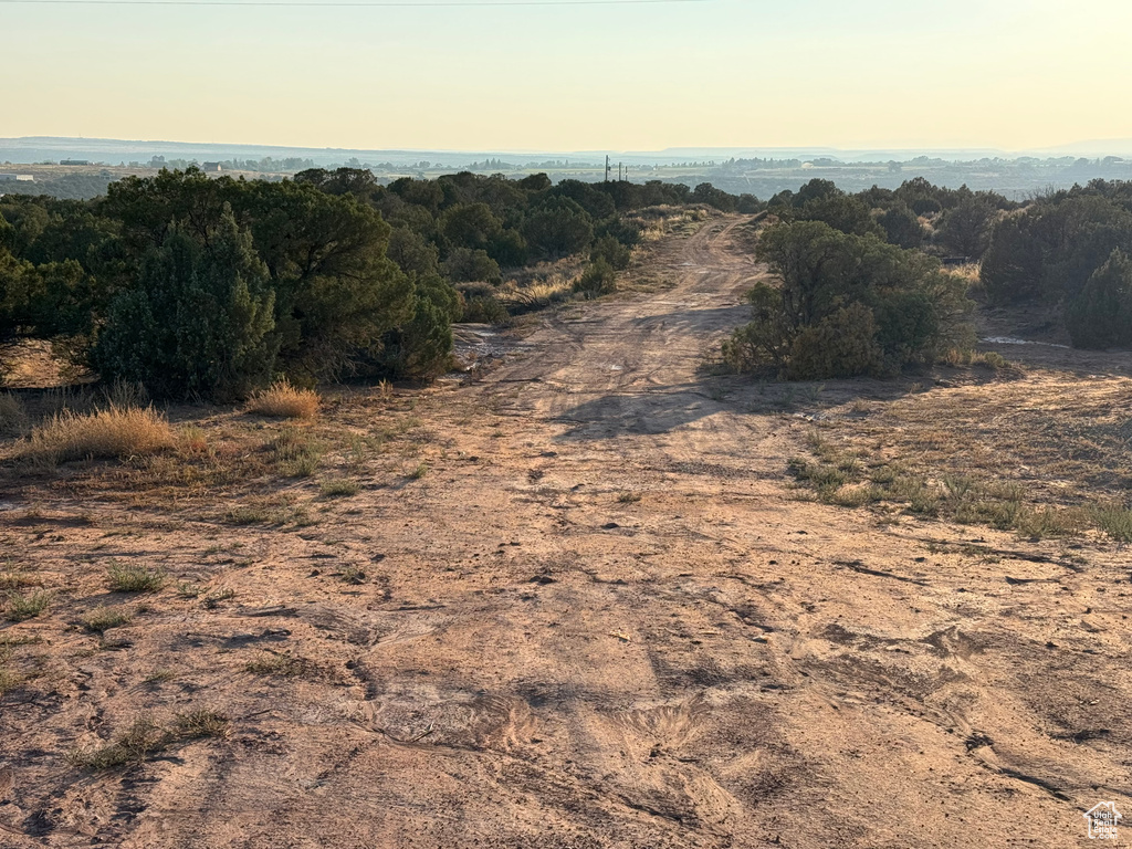 View of nature at dusk