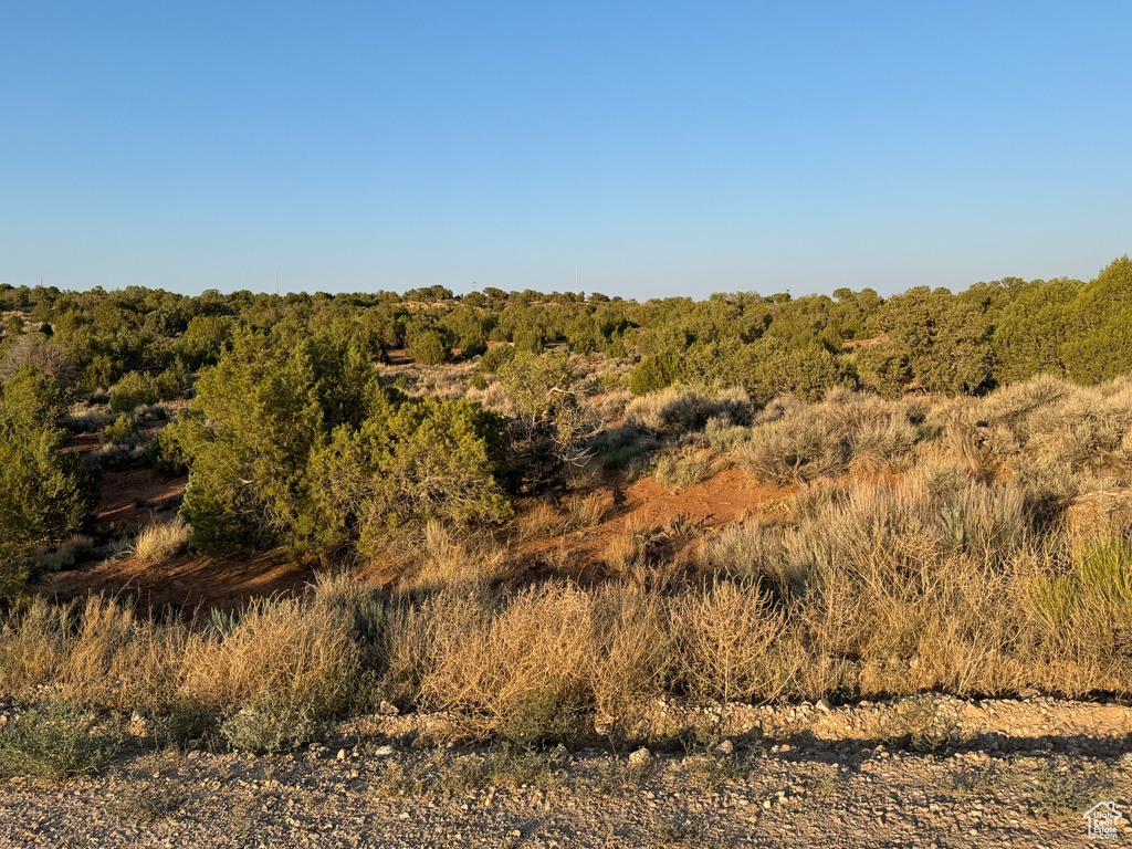 View of nature