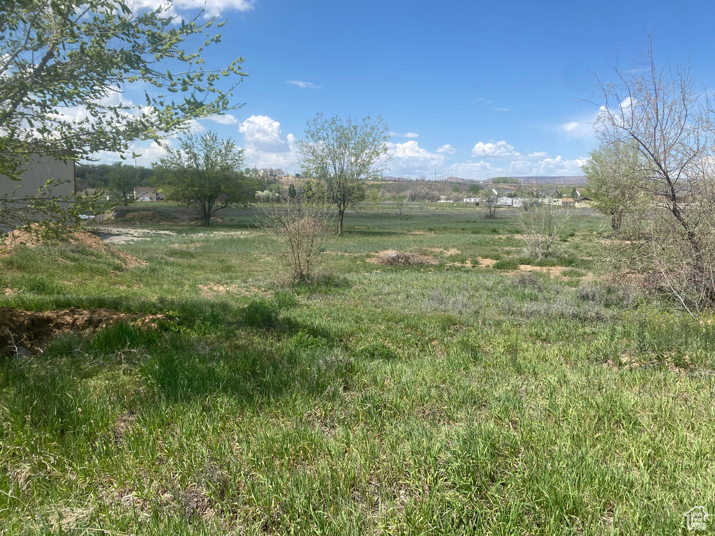 View of local wilderness with a rural view