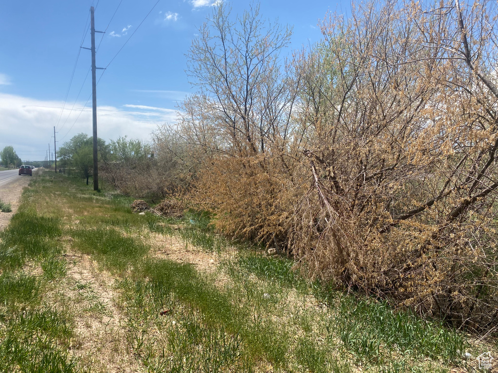 View of nature