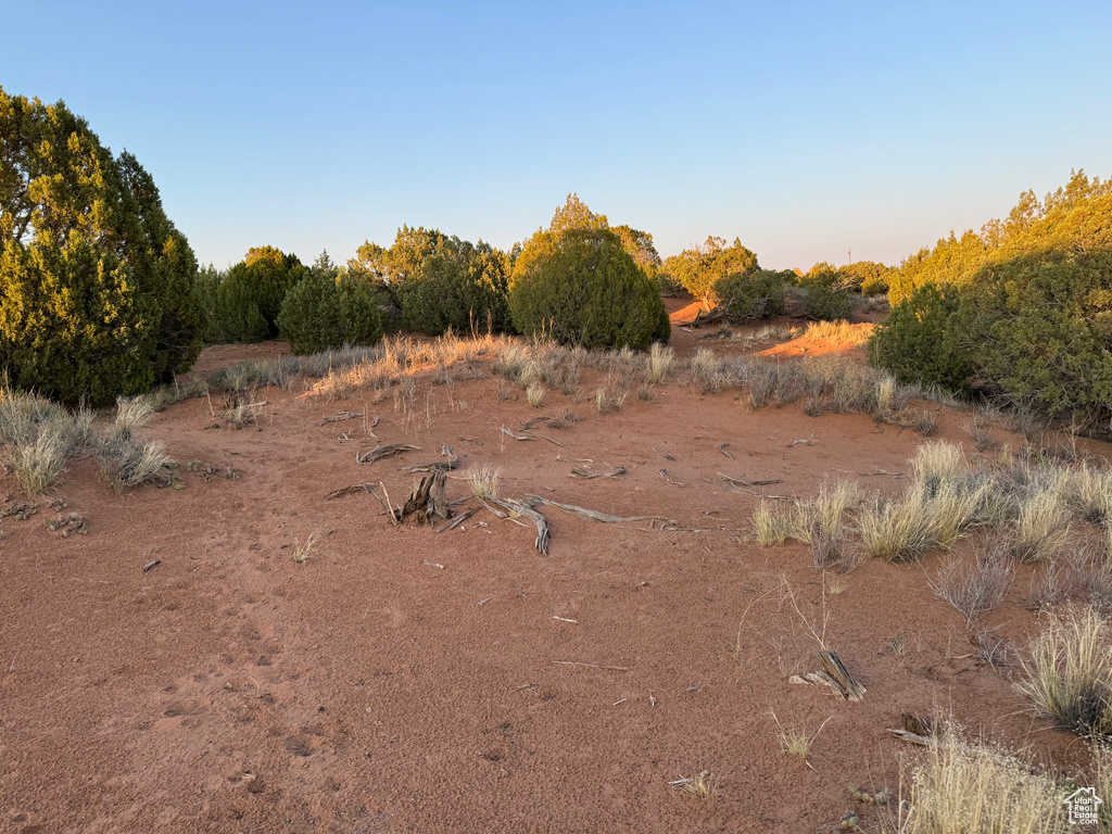 View of landscape