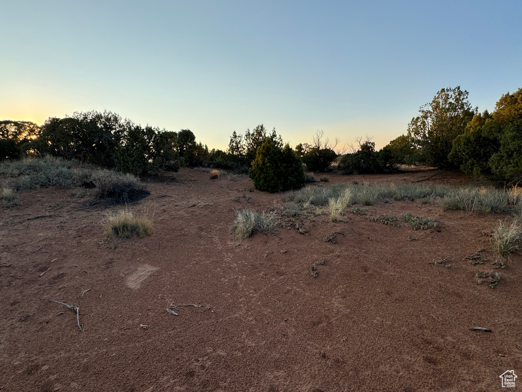 View of nature at dusk