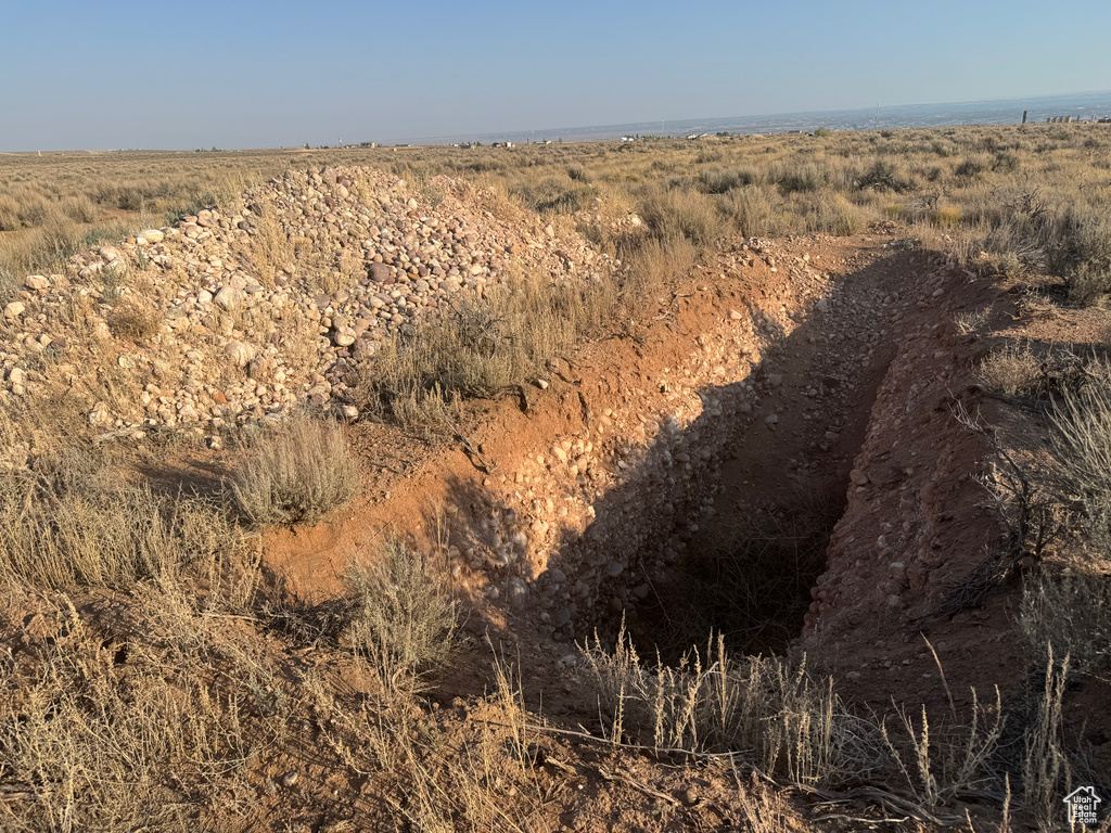 View of local wilderness
