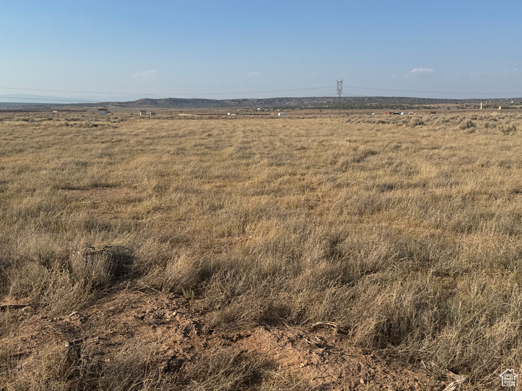 View of local wilderness with a rural view