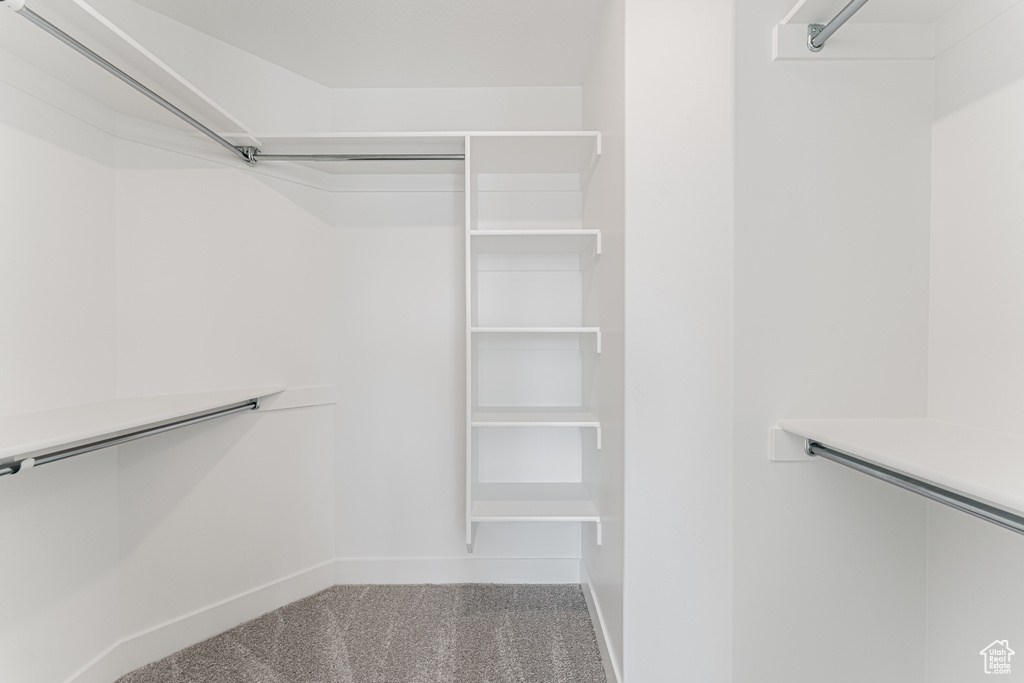 Spacious closet featuring carpet flooring