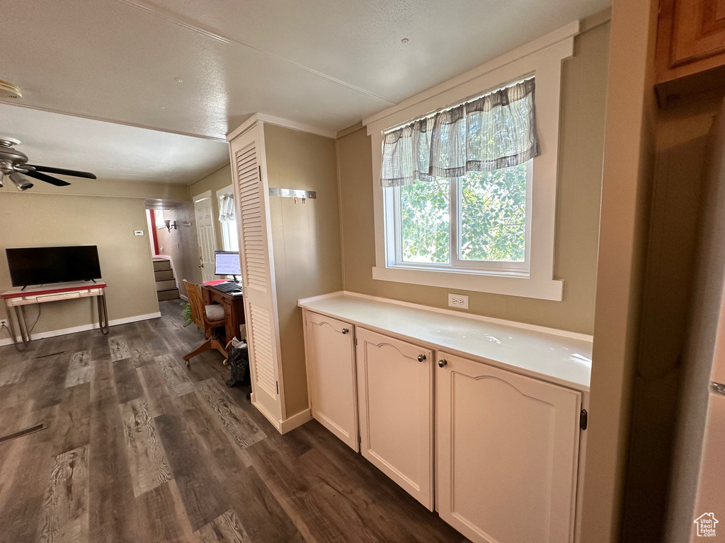 Interior space featuring ceiling fan and hardwood / wood-style flooring