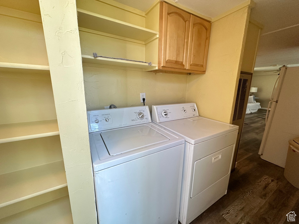 Laundry room featuring cabinets, separate washer and dryer, and dark hardwood / wood-style flooring