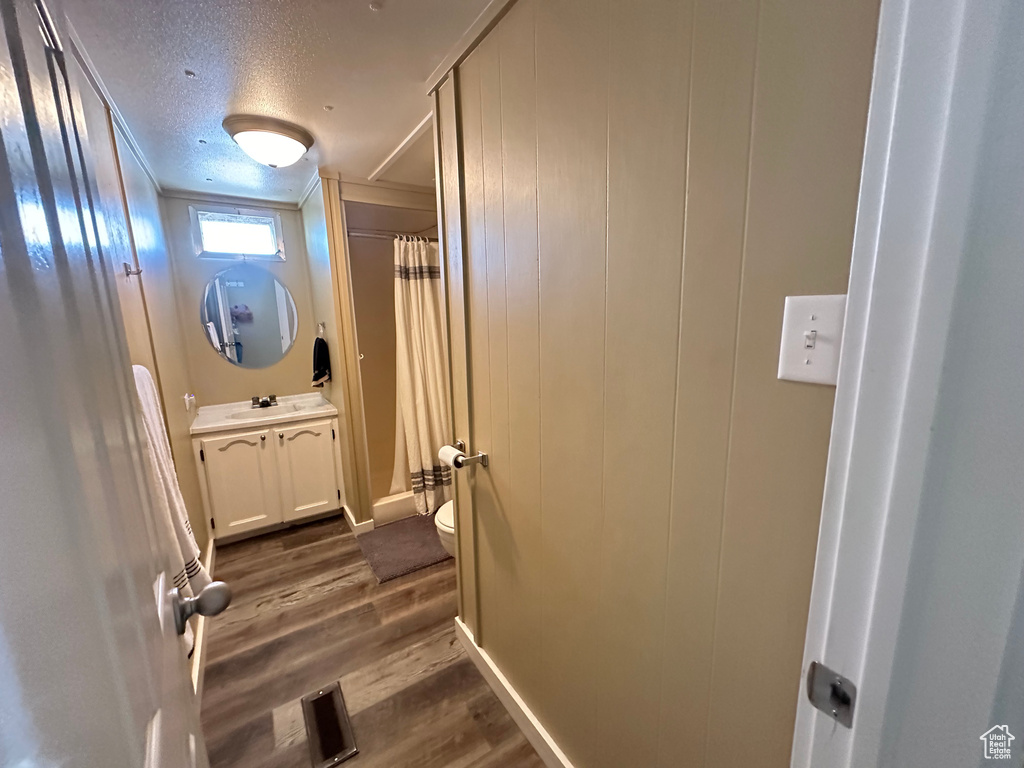 Hall with sink, a textured ceiling, and dark wood-type flooring