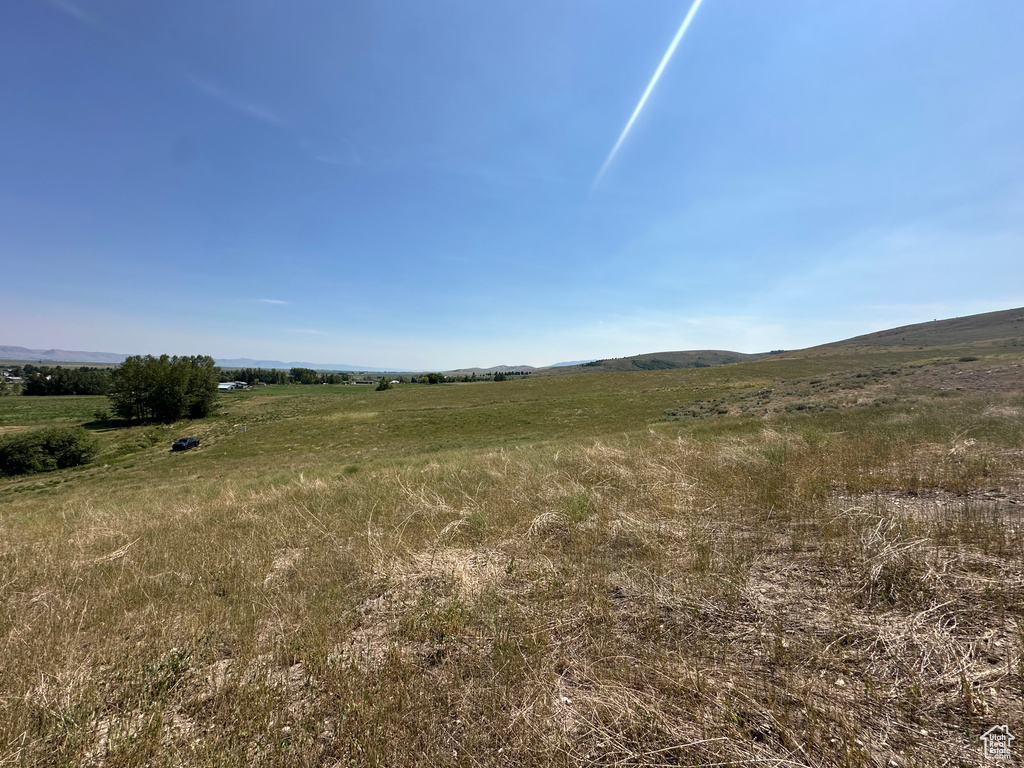 View of local wilderness featuring a rural view