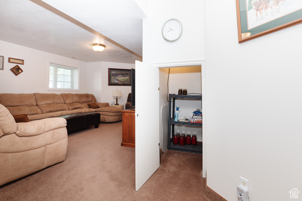 View of carpeted living room